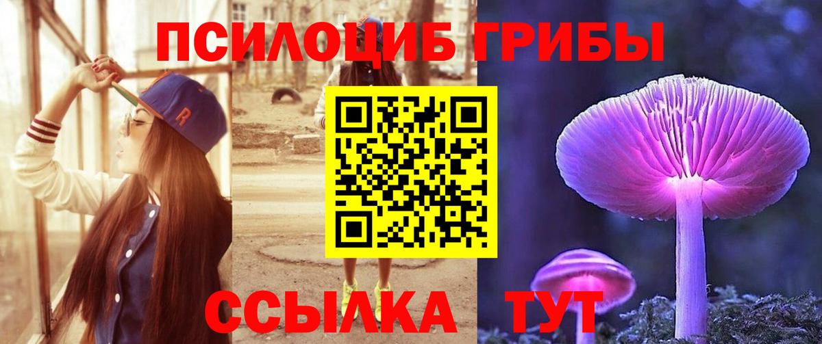 Галлюциногенные грибы Magic Shrooms  Вход с VPN  Псилоцибиновые грибы ЛСД  Сокол 