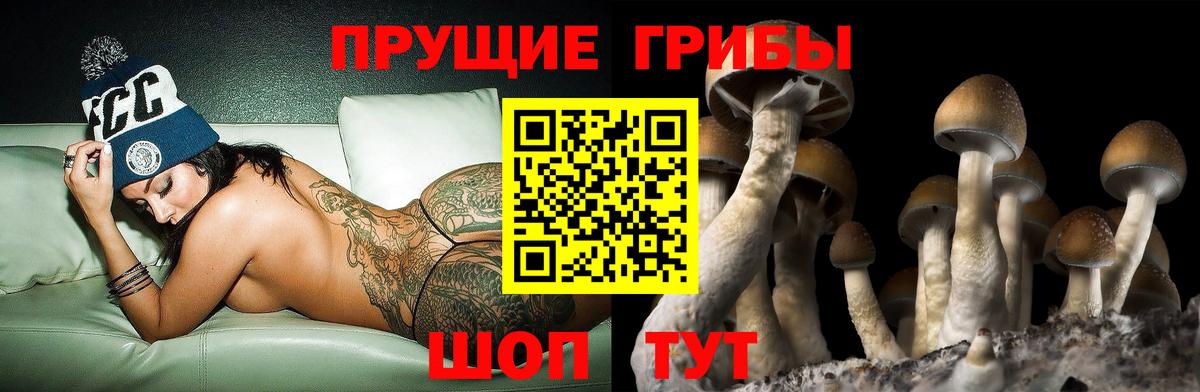 Псилоцибиновые грибы ЛСД Сокол